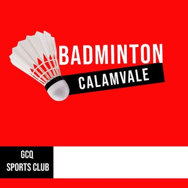 Social Badminton
