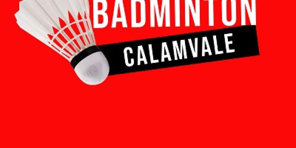 Social Badminton