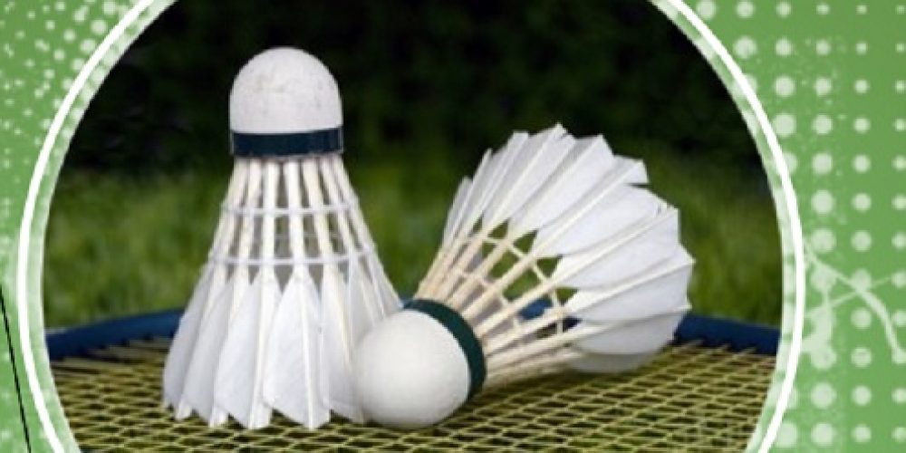 Social Badminton
